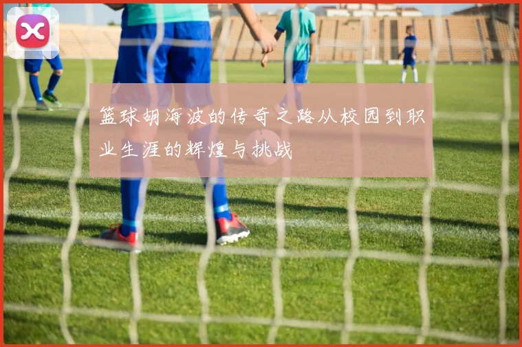 篮球胡海波的传奇之路从校园到职业生涯的辉煌与挑战