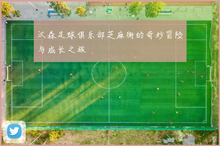 汉森足球俱乐部芝麻街的奇妙冒险与成长之旅