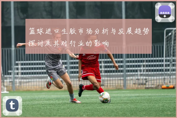 篮球进口生胶市场分析与发展趋势探讨及其对行业的影响