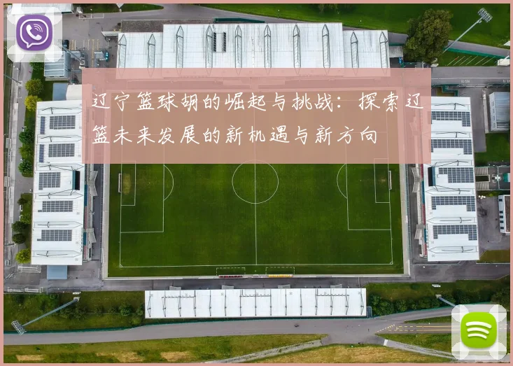 辽宁篮球胡的崛起与挑战：探索辽篮未来发展的新机遇与新方向