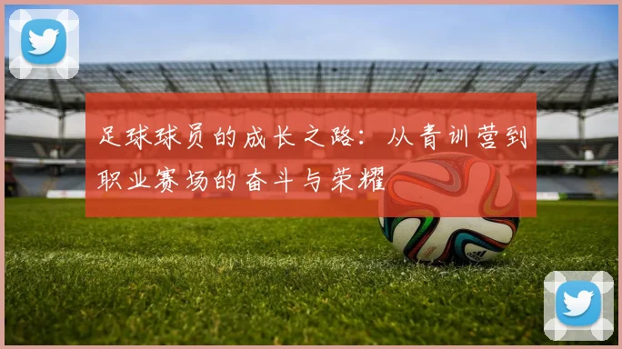 足球球员的成长之路：从青训营到职业赛场的奋斗与荣耀