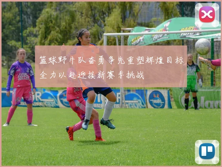 篮球野牛队奋勇争先重塑辉煌目标全力以赴迎接新赛季挑战